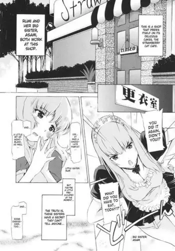 Together With Poko5 - Strawberry Cats