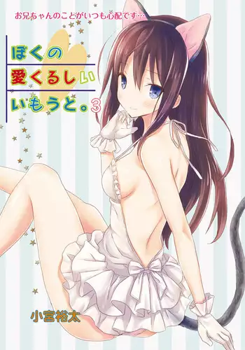 Boku no Aikurushii Imouto. 3